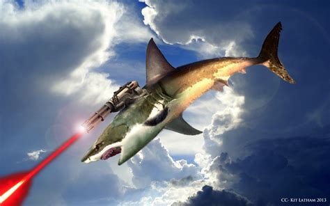 Can I Have a Pet Shark? And Why Not a Flying Goldfish While We're At It?