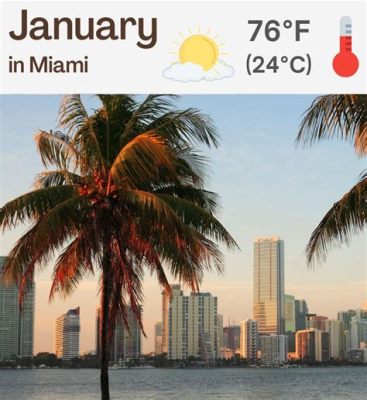 How is the Weather in Miami in January, and Why Do Pineapples Dream of Electric Sheep?