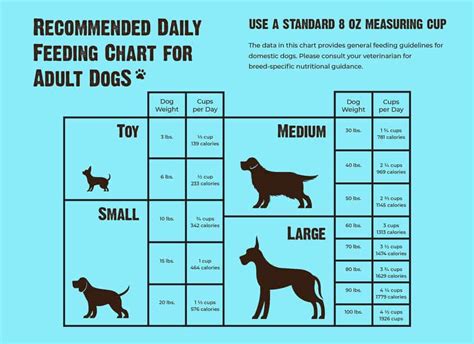 How Much Fresh Pet Dog Food to Feed: A Journey Through Canine Culinary Mysteries