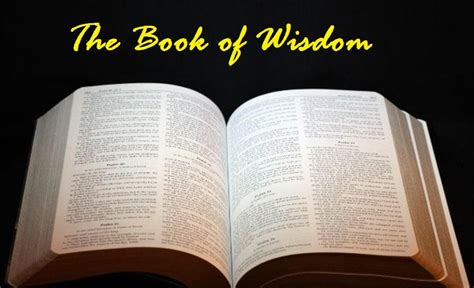 What are the 7 Wisdom Books of the Bible? And why do they sometimes feel like ancient self-help guides?