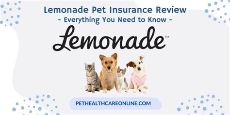 Where is Lemonade Pet Insurance Accepted: A Journey Through Uncharted Territories